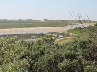 Appartamento Cadzand-Bad Ambiente 23