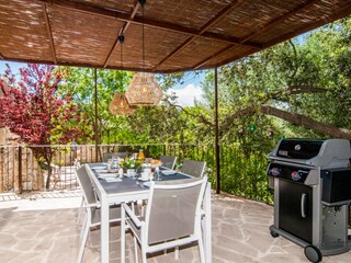 Finca Artà Buitenaudio-opname 6