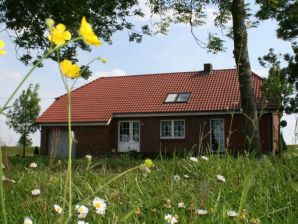 Ferienhaus Groß-Leiße  Am Deich - Detern - image1