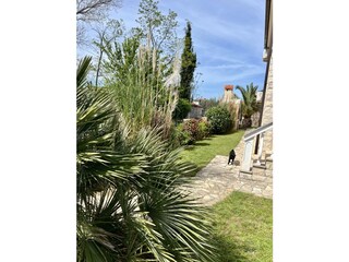 Appartamento per vacanze Vrsi Registrazione all'aperto 13