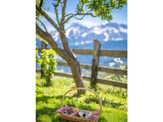 Vakantieappartement St. Jakob im Ahrntal Omgeving 21