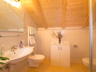 Appartamento per vacanze St. Jakob im Ahrntal Caratteristiche 13