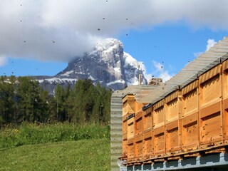 Vakantieappartement St. Jakob im Ahrntal Omgeving 16