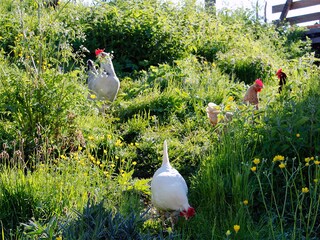 Appartamento per vacanze St. Jakob im Ahrntal Ambiente 18
