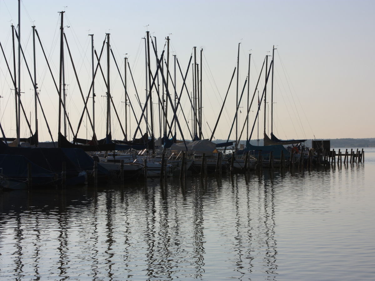 Segelboote auf dem Steinhuder Meer