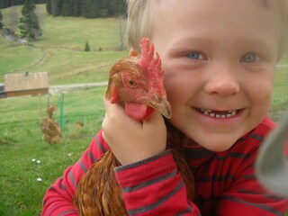 Appartement de vacances Breitnau Enregistrement extérieur 10