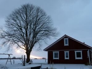 Holiday house Lindhus - Groedersby - image1