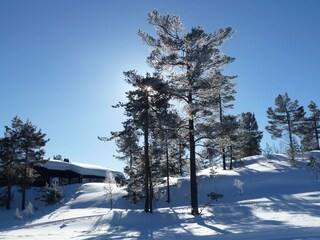 Holiday house Åmli Outdoor Recording 8