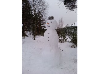 Holiday house Åmli Outdoor Recording 9