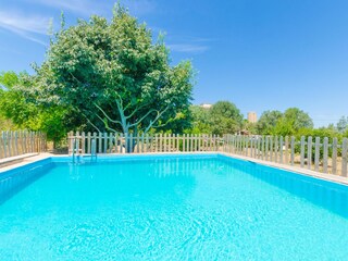 Tenuta Porreres Registrazione all'aperto 6