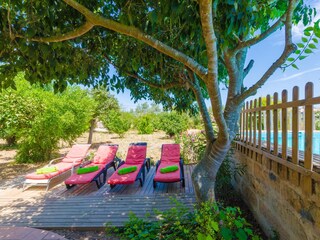 Tenuta Porreres Registrazione all'aperto 11