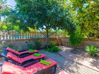 Tenuta Porreres Registrazione all'aperto 13