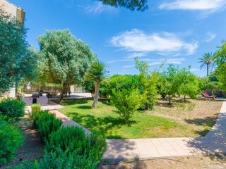 Finca Porreres Buitenaudio-opname 15