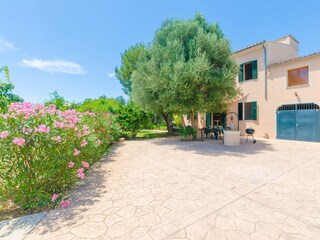 Finca Porreres Buitenaudio-opname 28