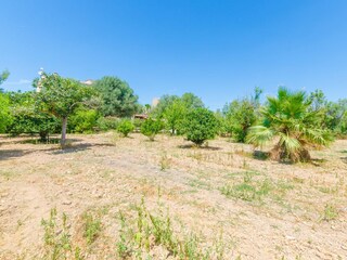Finca Porreres Buitenaudio-opname 29