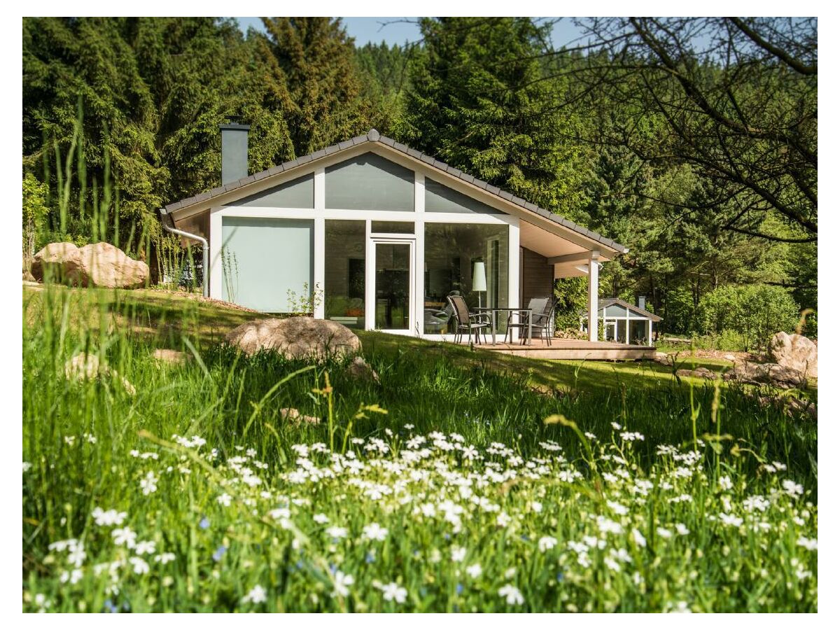 Modernes Ferienhaus Mitten Im Wald Ruhla Firma Bellevue