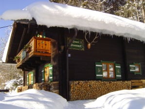 Ferienhaus Haus Brunneck - Berchtesgaden - image1