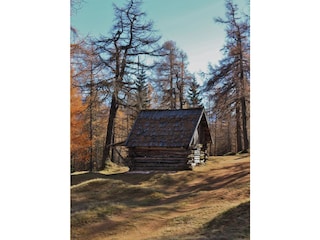 Eulenwiesen im Herbst