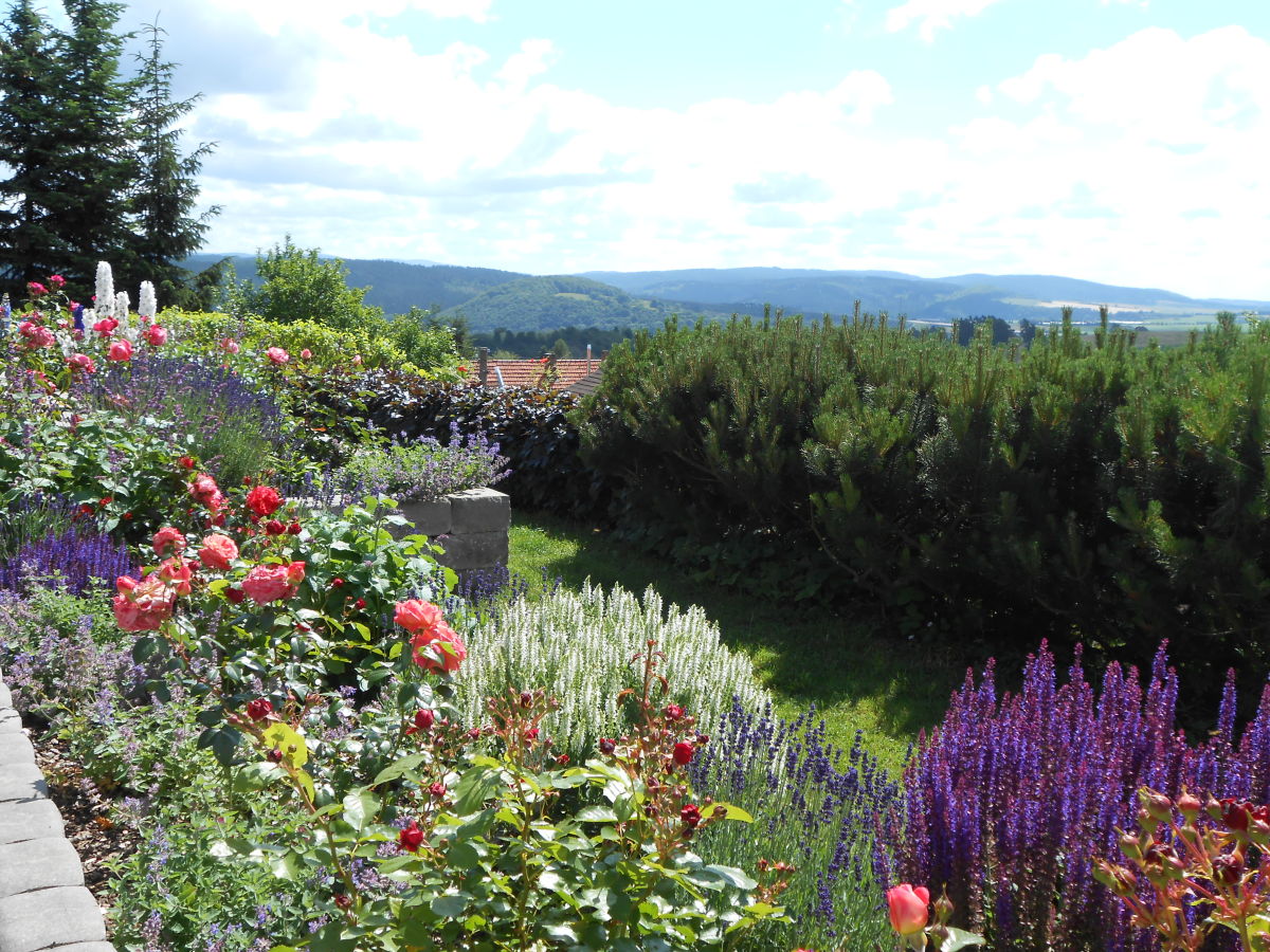 Ausblick vom Garten