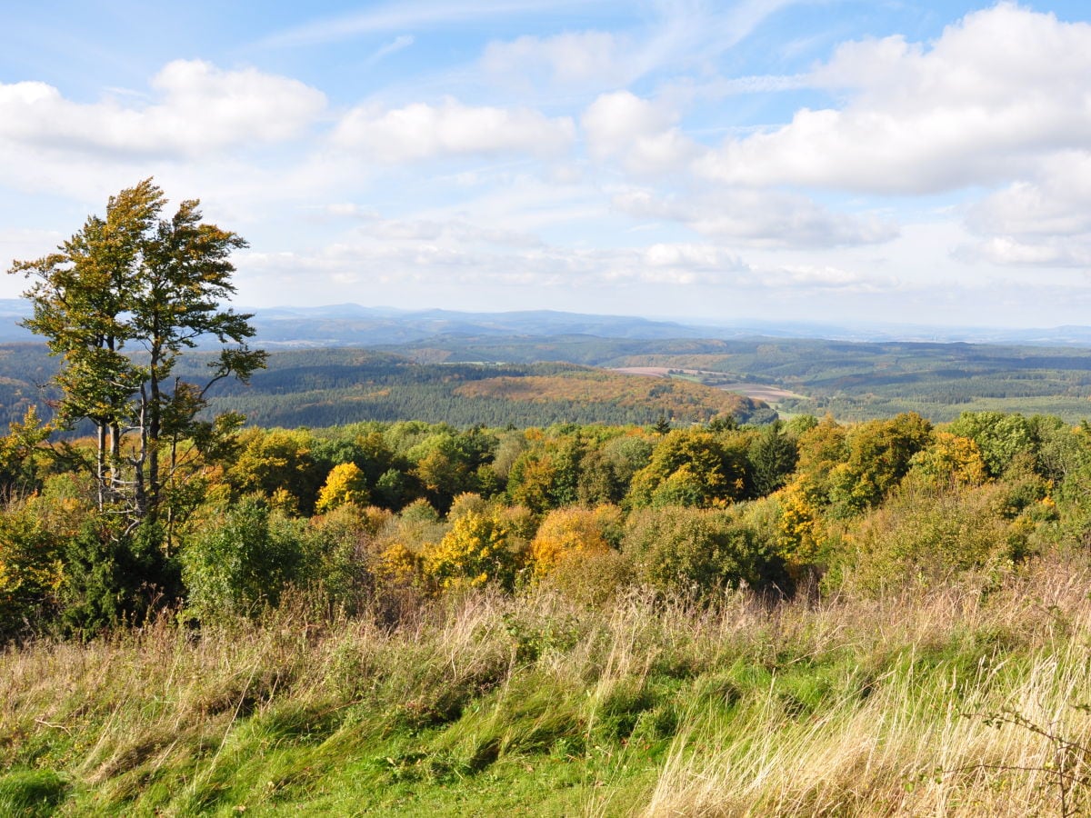 Landschaft bei Kühndorf