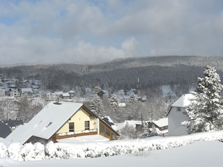 Blick auf Stützerbach vom Reifberg