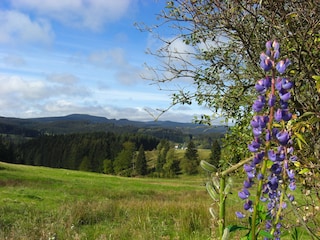 Herrlicher Blick vom Panoramaweg über Stützerbach