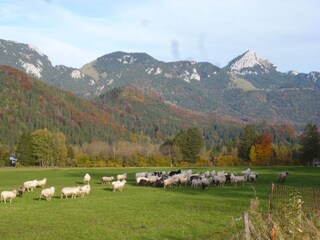 Ausflug zum Wendelstein