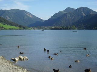 Blick auf den See, die Berge und Enten