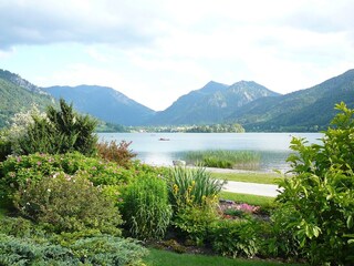 Blick zum See und zu den Bergen