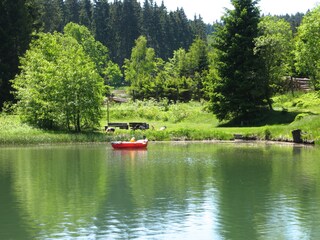 Apartamento de vacaciones Oberhof Entorno 13