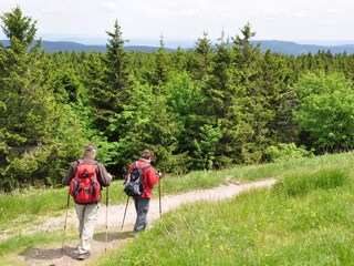 Apartamento de vacaciones Oberhof Entorno 16