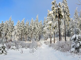 Appartamento per vacanze Oberhof Ambiente 18