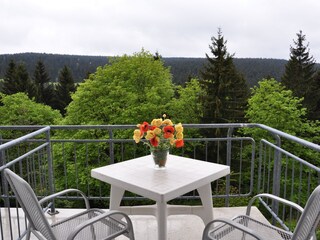 Apartamento de vacaciones Oberhof Grabación al aire libre 4