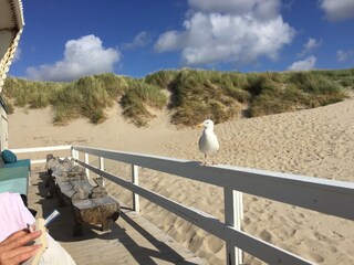 Holiday house Julianadorp Environment 18