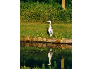 Casa per le vacanze Julianadorp Ambiente 28