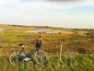 Casa per le vacanze Julianadorp Ambiente 24
