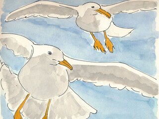 Holiday house Julianadorp Environment 32