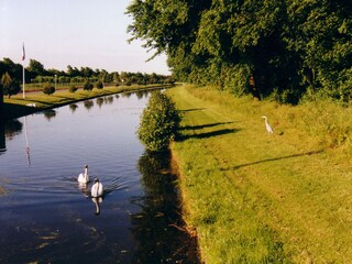 Casa per le vacanze Julianadorp Ambiente 29