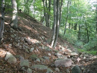 Appartamento per vacanze Conow Ambiente 15