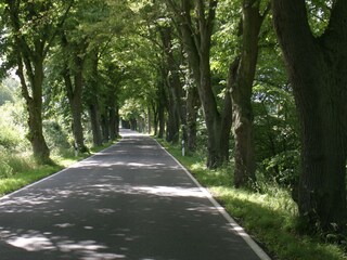 Appartamento per vacanze Conow Ambiente 16