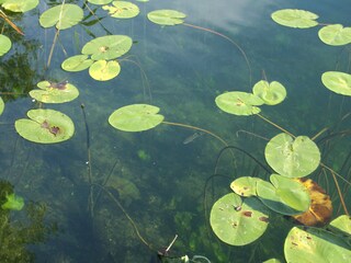 Appartamento per vacanze Conow Ambiente 17