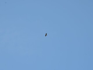 Appartamento per vacanze Conow Ambiente 20