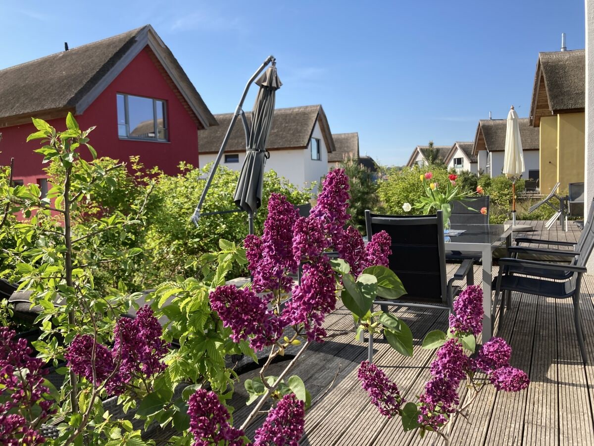 Südterrasse (hat auch einen Strandkorb)