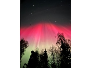 Holiday house Åmli Environment 33