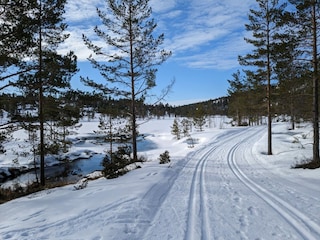 kilometerlange Loipen für Skilanglaufspaß