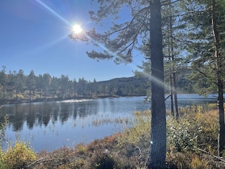 Herbst am unteren See
