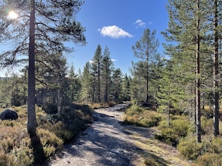 toller Wanderweg nach Felle