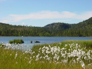 Holiday house Åmli Environment 21