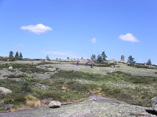 Holiday house Åmli Environment 20