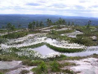 Holiday house Åmli Environment 17